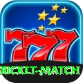 all cricket match - VIP Prime