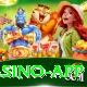 Betandyou PK Mega Casino App