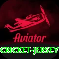 cricket jersey Champion v4.1.7