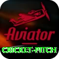 cricket pitch Casino Champion v1.1.5