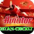india pakistan cricket - Turbo Edition v2.5.2