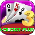 india pakistan cricket Earn Royal v5.1.7
