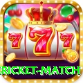 international cricket match APK VIP v3.5.3