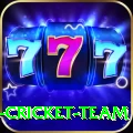 ireland cricket team APK VIP v1.3.4