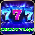 mumbai cricket team Mobile King