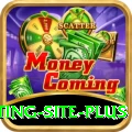 Pakistan Betting Site APK VIP v1.0.0
