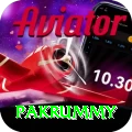 pakrummy Game VIP v1.8.8