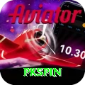 pkspin Pakistan Prime v2.0.7