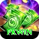 PKWin VIP v5.8.0