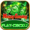 play cricket Pro PK v3.3.3