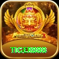 tiger888 Plus Latest v5.5.7