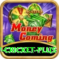 v cricket Slot Machine Prime