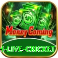 watch live cricket Royal Slots