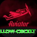 willow cricket Pakistan Premium v5.3.2